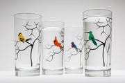 Colorful Birds Glasses: Set of 4