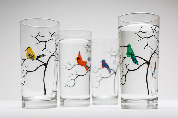 Colorful Birds Glasses: Set of 4