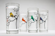 Colorful Birds Glasses: Set of 4