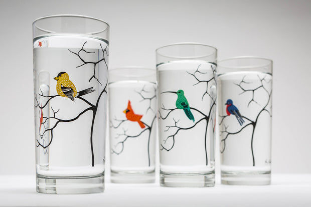 Colorful Birds Glasses: Set of 4
