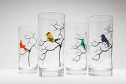 Colorful Birds Glasses: Set of 4
