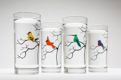 Colorful Birds Glasses: Set of 4