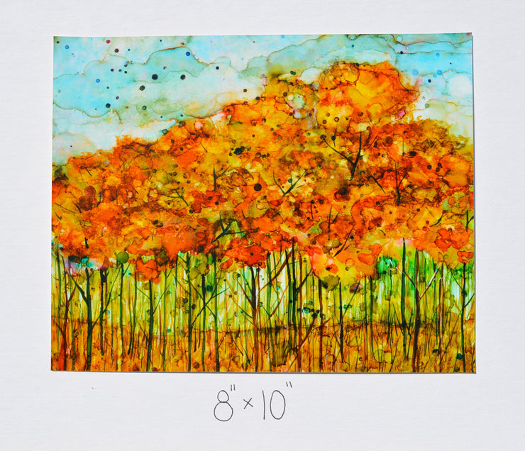 Autumn Forest : Art Prints