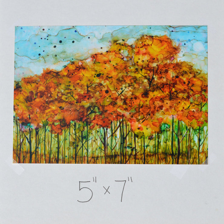 Autumn Forest : Art Prints