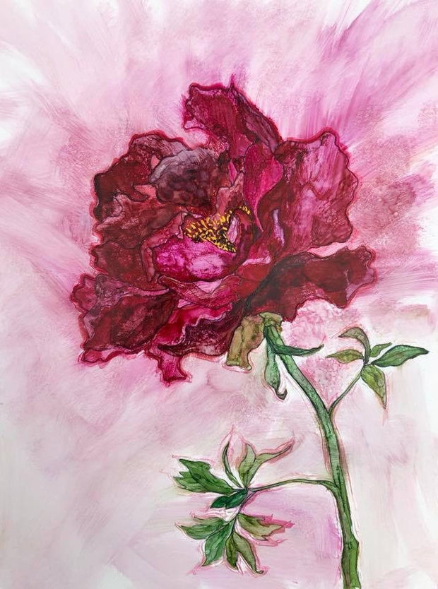 Tree Peony : Greeting Card