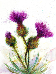 Boxed Set Collection of 3 Art Prints: 5 x 7 inch Prints including Hummingbird, Thistle and Field of Flowers Artist Paintings