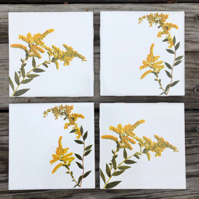 Goldenrod Flower Ceramic Tiles : Indoor and Outdoor Use