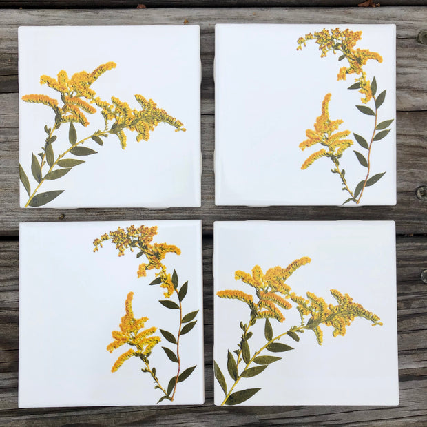 Goldenrod Flower Ceramic Tiles : Indoor and Outdoor Use