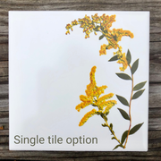 Goldenrod Flower Ceramic Tiles : Indoor and Outdoor Use