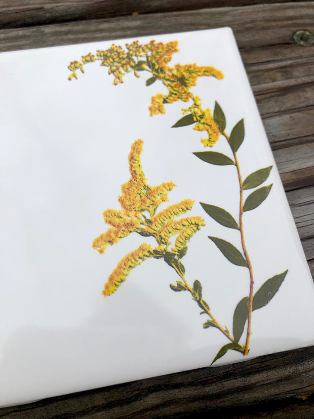 Goldenrod Flower Ceramic Tiles : Indoor and Outdoor Use