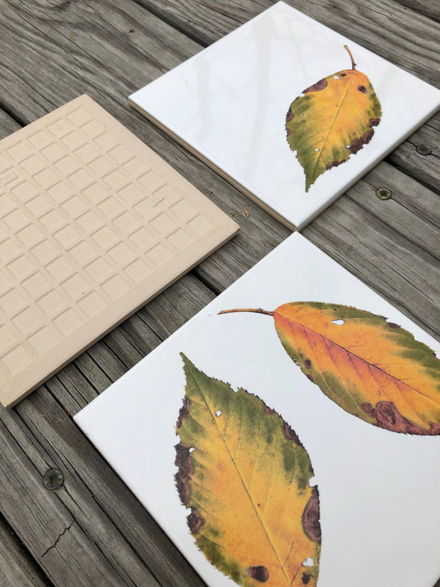 Fall Dogwood Leaves Ceramic Tiles : Indoor and Outdoor Use