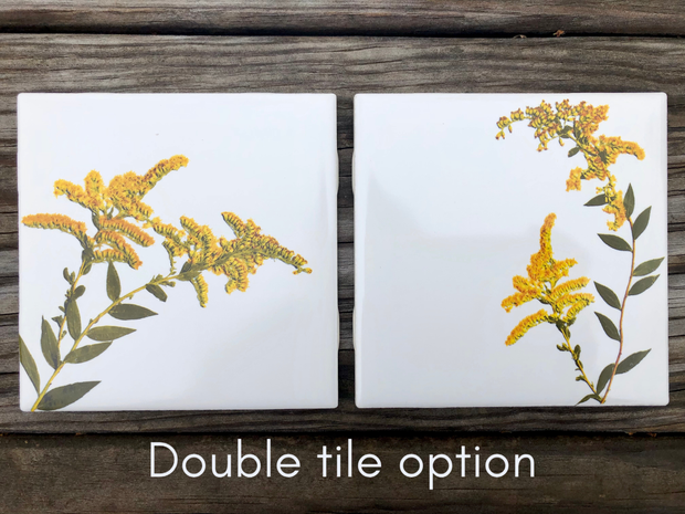 Goldenrod Flower Ceramic Tiles : Indoor and Outdoor Use