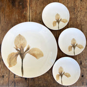 Pressed White Iris Porcelain Plates