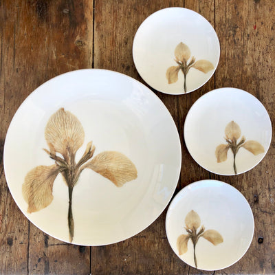 Pressed White Iris Plates