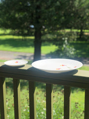 Pressed Columbine Flower Plates & Mugs