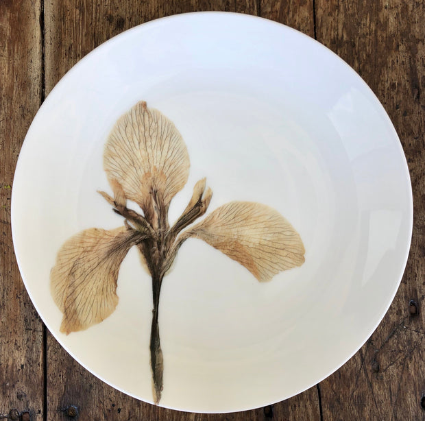 Pressed White Iris Plates