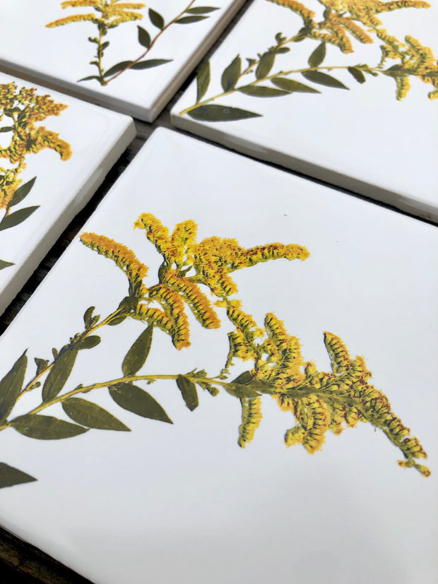 Goldenrod Flower Ceramic Tiles : Indoor and Outdoor Use