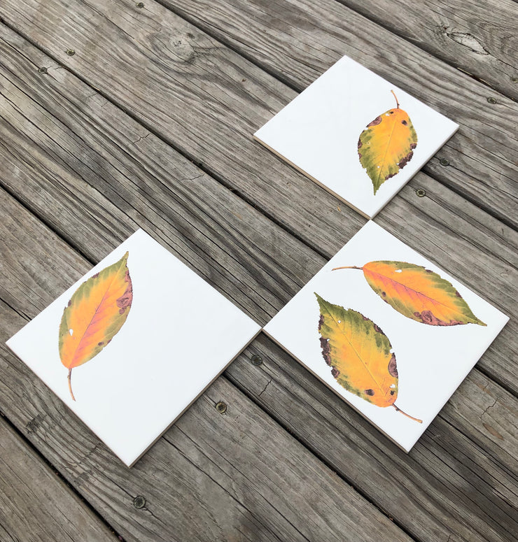 Fall Dogwood Leaves Ceramic Tiles : Indoor and Outdoor Use