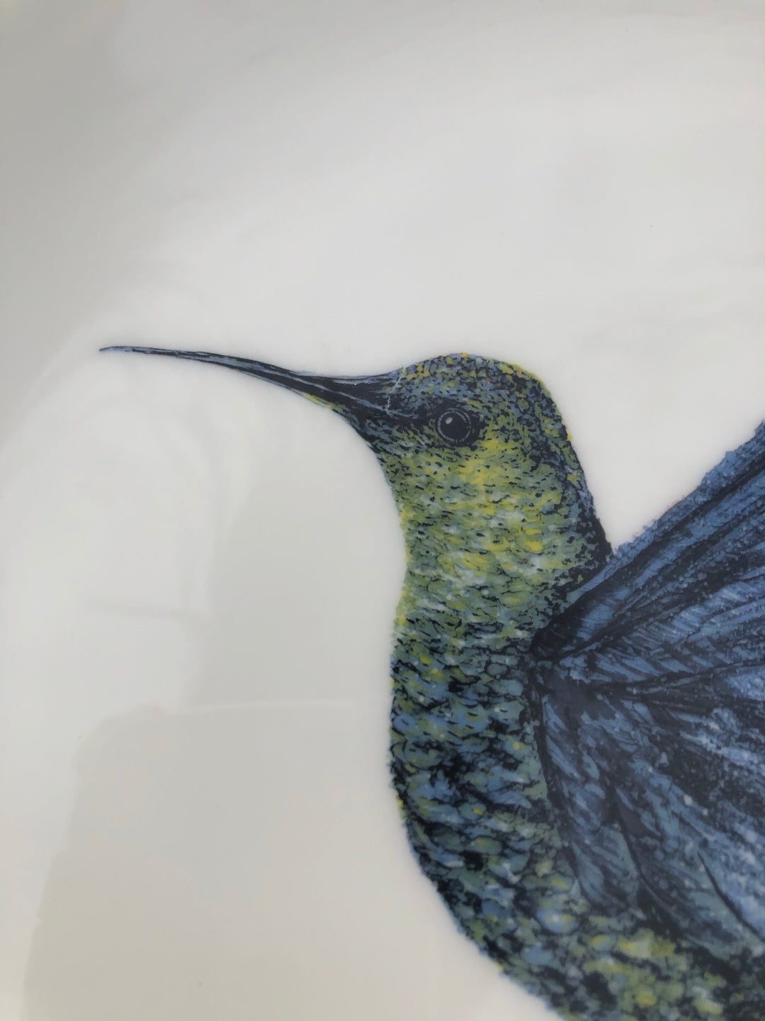 Hummingbird Porcelain Plates – MaryElizabethArts