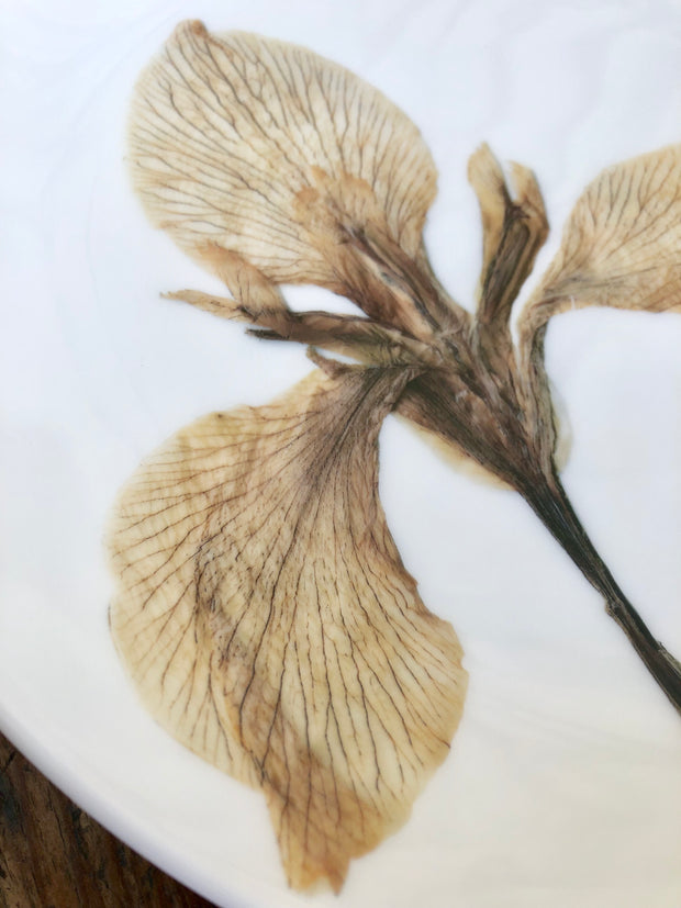 Pressed White Iris Plates