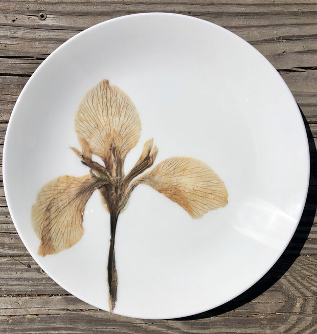 Pressed White Iris Plates