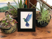 Hummingbird in Flight : Greeting Card