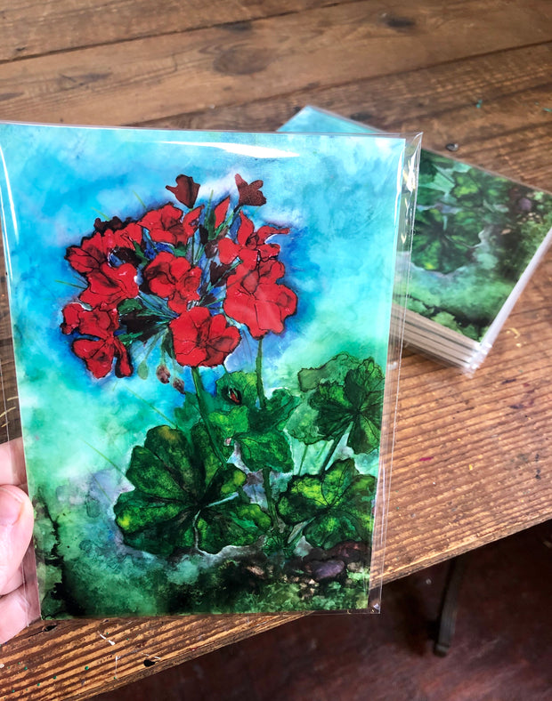 Geraniums : Prints