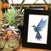 Boxed Set Collection of 3 Art Prints: 5 x 7 inch Prints including Hummingbird, Thistle and Field of Flowers Artist Paintings