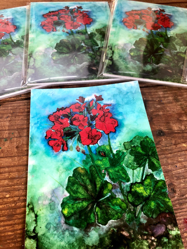 Geraniums : Prints