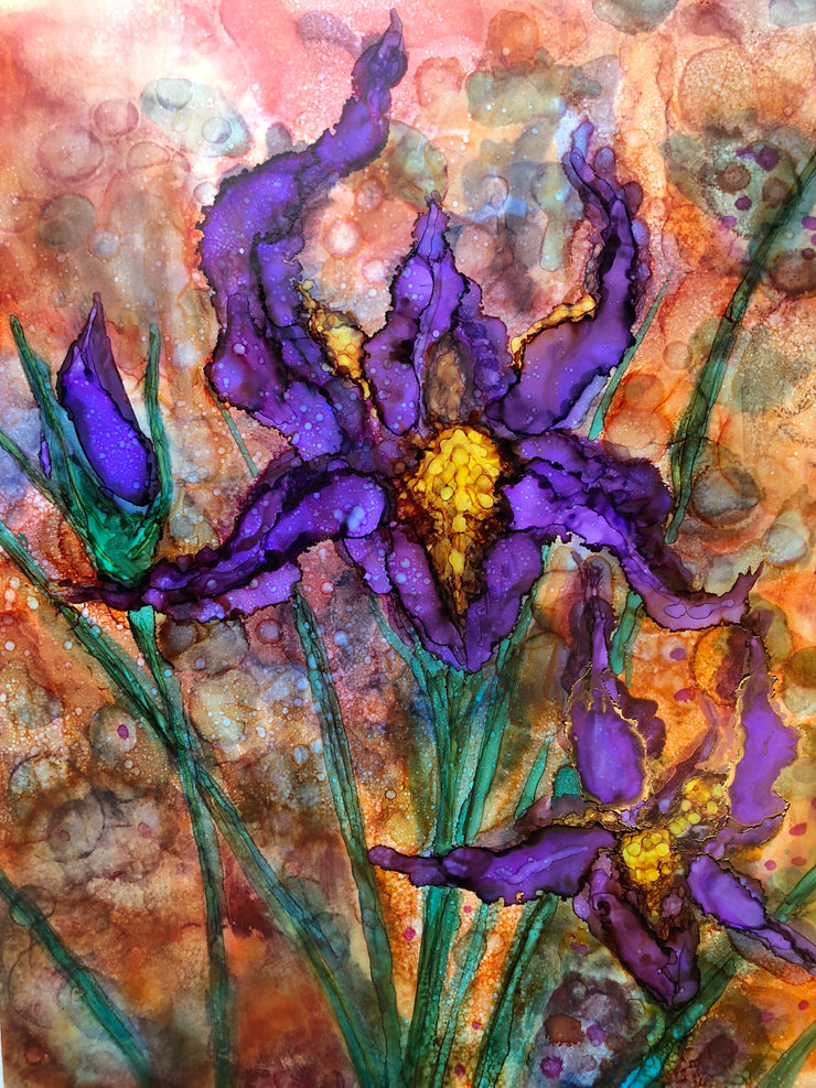 Purple Irises : Prints